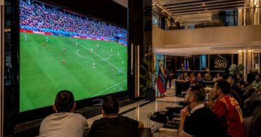 Disfruta de la Final del Mundial de Fútbol en el Hotel 286 de Badih Georges Antar Ghayar